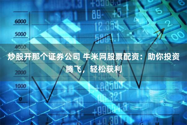 炒股開那個證券公司 牛米網股票配資：助你投資騰飛，輕松獲利